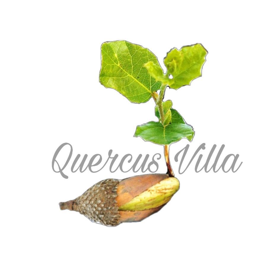 Quercus Villa Sesimbra Exteriér fotografie